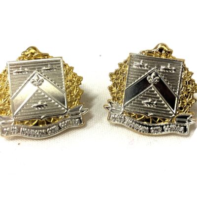 collar dog MR 12 rbc