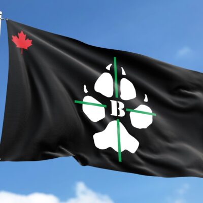 Drapeau d&rsquo;escadron B