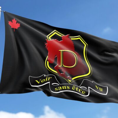 Drapeau d&rsquo;escadron D