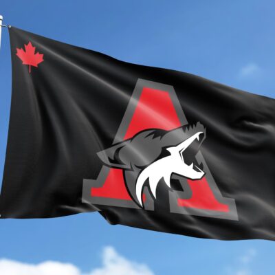 Drapeau D&rsquo;escadron A